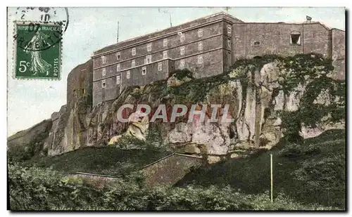 Cartes postales Belfort Le chateau et le lion