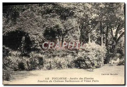 Cartes postales Toulouse Jardin des Plantes Fenetres du Chateau Narbonnais et Vieux Puits