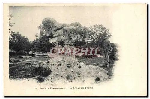 Cartes postales Foret De Fontainebleau Le Sphinx des Druides