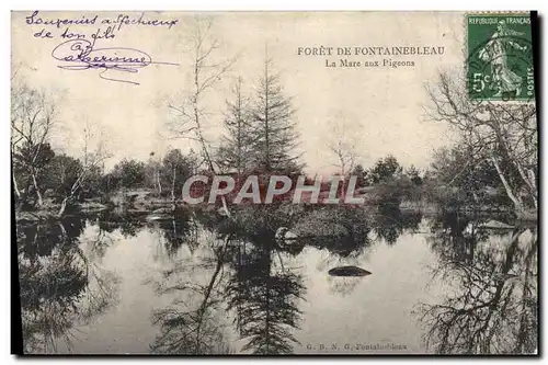 Cartes postales Foret de Fontainebleau La Mare aux Pigeons