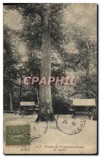 Ansichtskarte AK Foret de Fontainebleau Le Jupiter Arbre