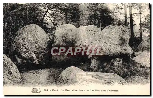 Ansichtskarte AK Foret de Fontainebleau Les Mausolees d&#39Apremont