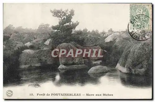 Ansichtskarte AK Foret de Fontainebleau Mare aux Biches