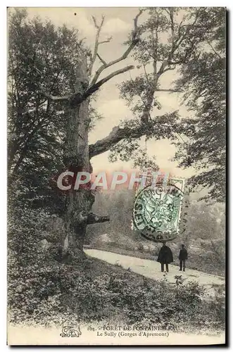 Ansichtskarte AK Foret de Fontainebleau Le Sully Arbre Gorges d&#39Apremont