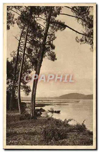 Cartes postales Landes Arbres Plage