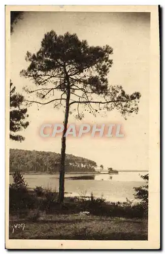 Cartes postales L'etang d'Aureilhan