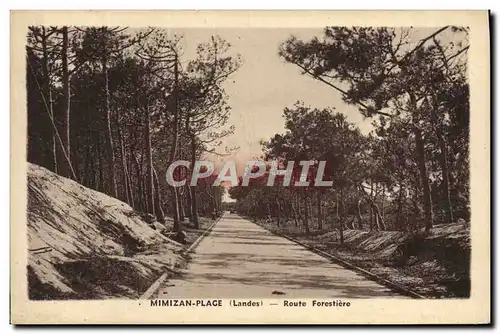 VINTAGE POSTCARD Mimizan Beach Forestiere Road