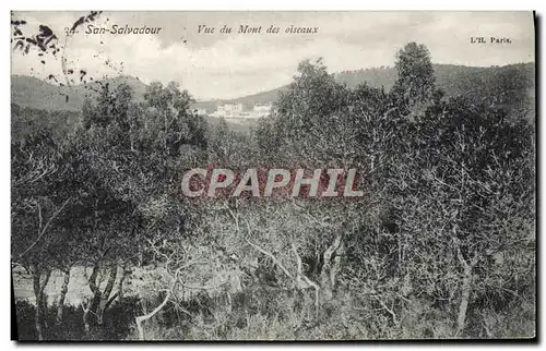Ansichtskarte AK San Salvadour Vue du Mont des Oiseaux