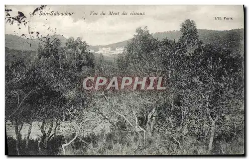 Cartes postales San Salvadour Vue du Mont des Oiseaux