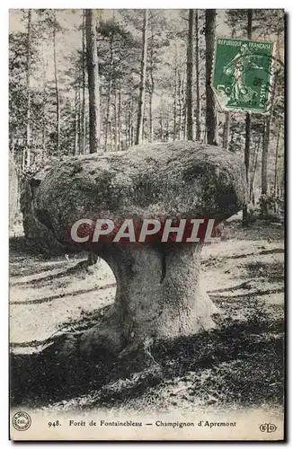 Ansichtskarte AK Foret De Fontainebleau Champignon d&#39Apremont