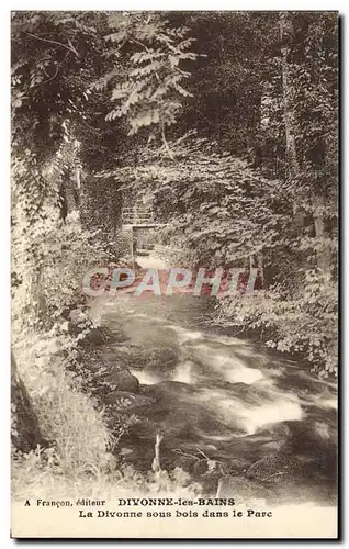 Cartes postales Divonne Les Bains La Divonne Sous Bois Dans le Parc