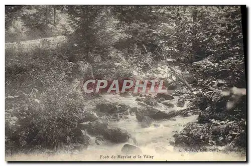 Cartes postales Foret de Meyrial et le Valey