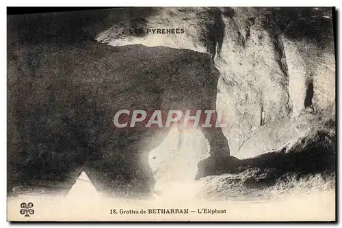 Cartes postales Grottes de Betharram L'Elephant Elephant