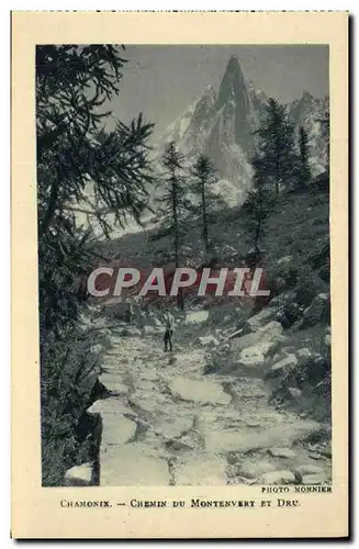 Cartes postales Chamonix Chemin Du Montenvert Et Dru