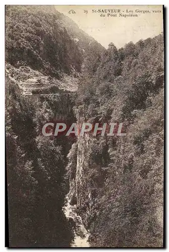 Ansichtskarte AK St Sauveur Les Gorges Vues Du Pont Napoleon