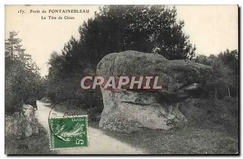 Cartes postales Foret de Fontainebleau La Tete de Chien