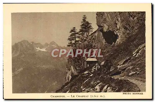 Cartes postales Chamonix La Chateau Ane