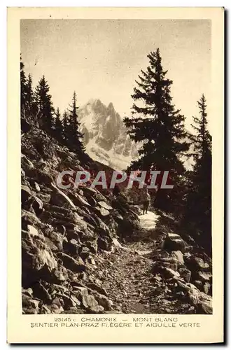 Cartes postales Chamonix Mont Blanc Sentier Plan Praz Flegere et Aiguille Verte