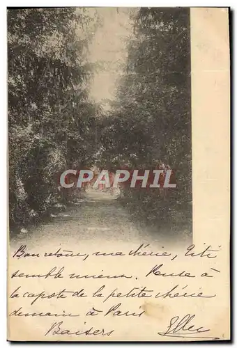 Ansichtskarte AK Chemin dans les bois