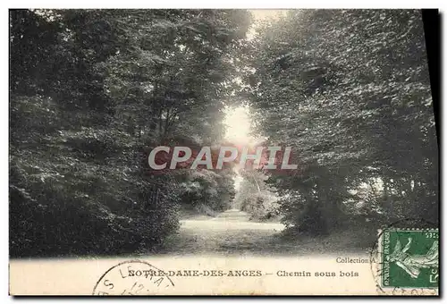 Cartes postales Notre Dame Des Anges Chemin sous bois