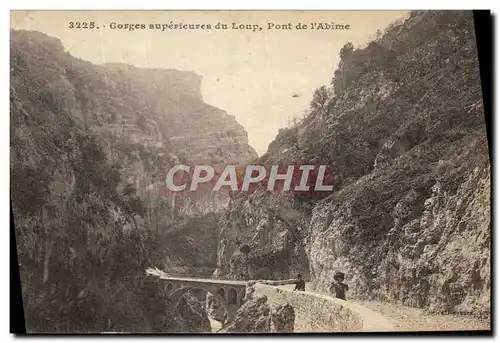 Ansichtskarte AK Gorges superieures du Loup Pont de l&#39Abime