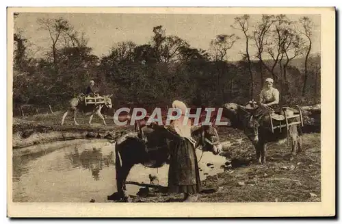 Ansichtskarte AK Notre Normandie Lait Laitieres Ane Folklore