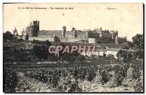 Cartes postales La Cite de Carcassonne Vue Generale du Nord