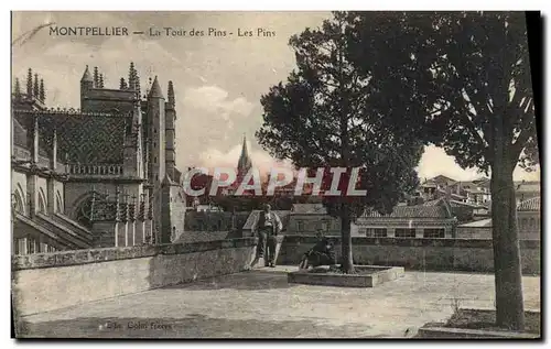 Cartes postales Montpellier La Tour des Pins Les Pins