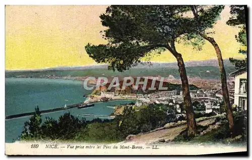 Cartes postales Nice Vue Prise entre les Pins du Mont Boron