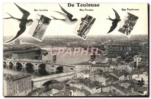 Cartes postales Toulouse Hirondelles