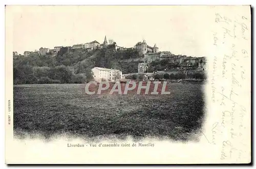 Cartes postales Liverdun Vue d&#39Ensemble Cote de Moselle