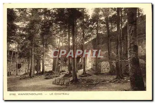 Cartes postales Wangenbourg Le Chateau