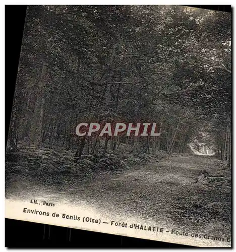 Cartes postales Environs de Senlis Foret d&#39Halatte Route des grands chenes
