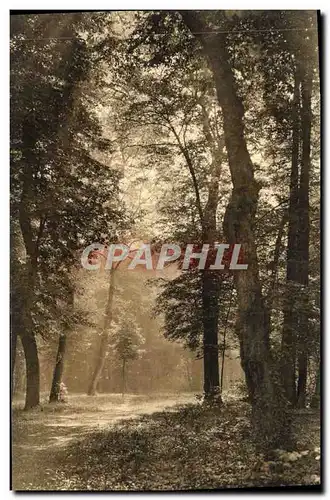 Cartes postales Parc de Saint Cloud