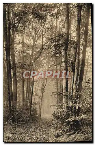 Cartes postales Parc de Saint Cloud