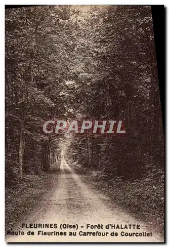 Cartes postales Fleurines Foret d'Halatte Route de Fleurines au Carrefour de Courcollet