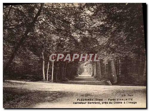 Cartes postales Fleurines Foret d'Halatte Carrefour Bertrand pres du Chene a l'image