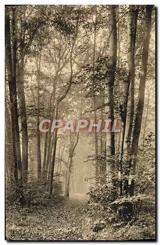 Ansichtskarte AK Saint Cloud Parc Sous Bois pres Allee de Versailles