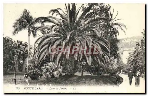 Cartes postales Monte Carlo Dans les Jardins