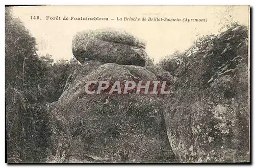 Cartes postales Foret de Fontainebleau La Brioche de Brillat Savarin Apremont