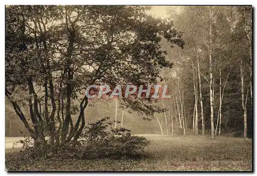 Ansichtskarte AK Parc de Saint Cloud Etude d&#39arbres pres le rond de chasse