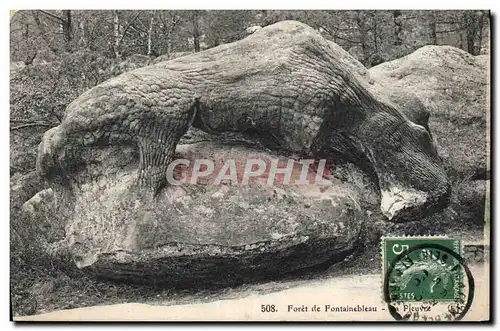 Cartes postales Foret de Fontainebleau La Pieuvre