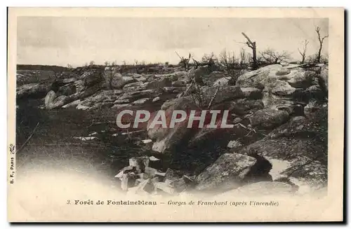 Cartes postales Foret de Fontainebleau Gorges de Franchard apres l&#39incendie