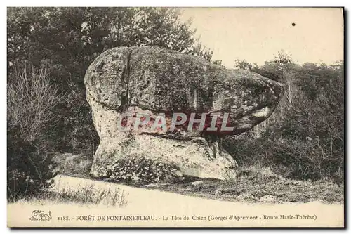 Cartes postales Foret de Fontainebleau La Tete de Chien Gorges d&#39Apremont Route Marie Therese