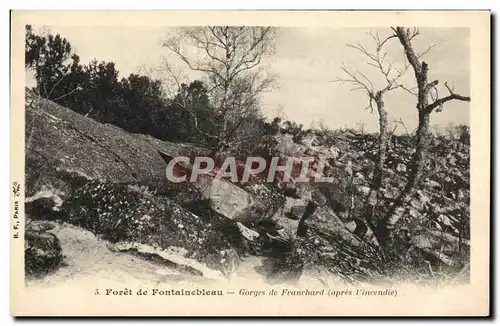 Cartes postales Foret de Fontainebleau Gorges de Franchard apres l&#39incendie