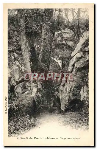 Ansichtskarte AK Foret De Fontainebleau Gorge Aux Loups