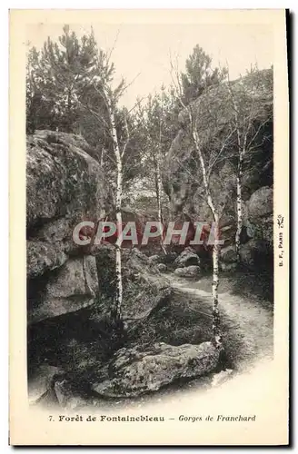 Ansichtskarte AK Foret De Fontainebleau Gorges de Franchard