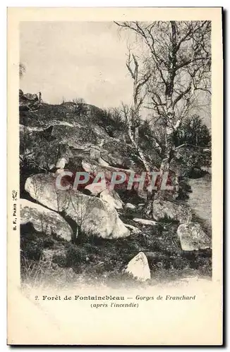 Cartes postales Foret De Fontainebleau Gorges de Franchard apres l&#39incendie