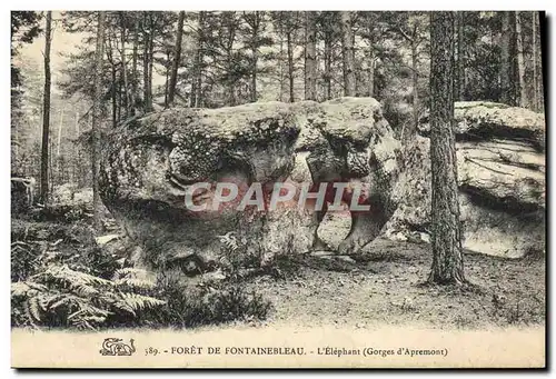 Cartes postales Foret De Fontainebleau L&#39Elephant Gorges d&#39Apremont Elephant