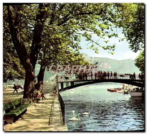 Cartes postales moderne Annecy Le Pont Des Amours Cygnes